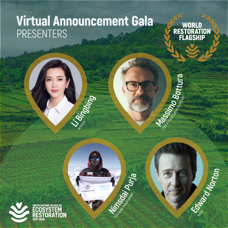 UNEP's tweet photo. Inspiring and leading voices are coming together with world leaders to celebrate the world's most promising #GenerationRestoration initiatives. Tune in for a Virtual Gala on 13 December: https://t.co/H6MrgMCLd8