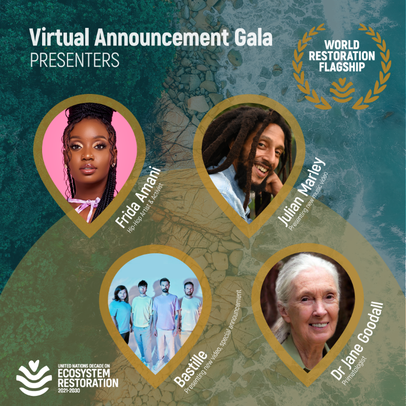 UNEP's tweet photo. Inspiring and leading voices are coming together with world leaders to celebrate the world's most promising #GenerationRestoration initiatives. Tune in for a Virtual Gala on 13 December: https://t.co/H6MrgMCLd8