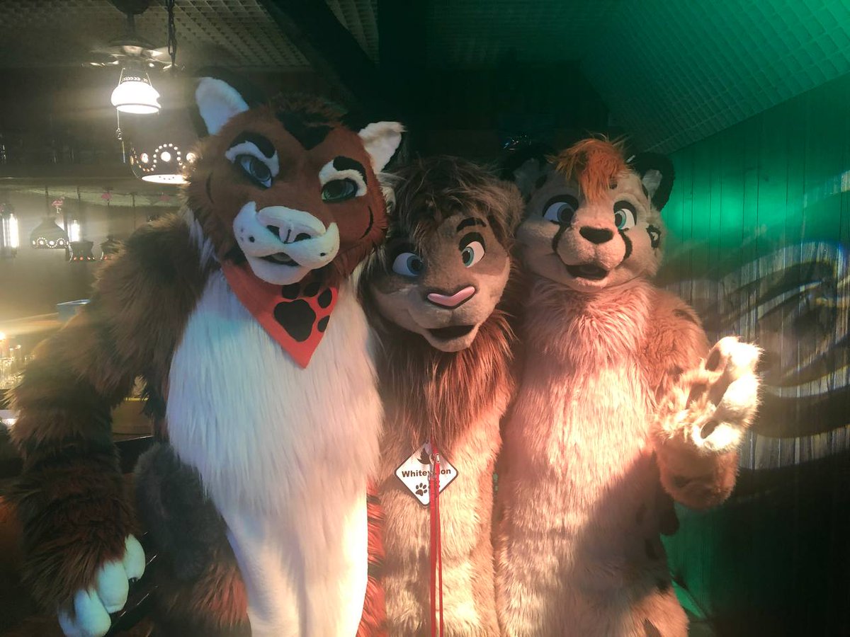 Last Weekend was fun! Thanks for the photo @Bigbluefox #FursuitFriday --- <a href="/AmurUssuri/">AmurUssuri</a> <a href="/littlecheetah_/">Litchee</a> <a href="/WhiteyLion/">Whiteylion</a>
