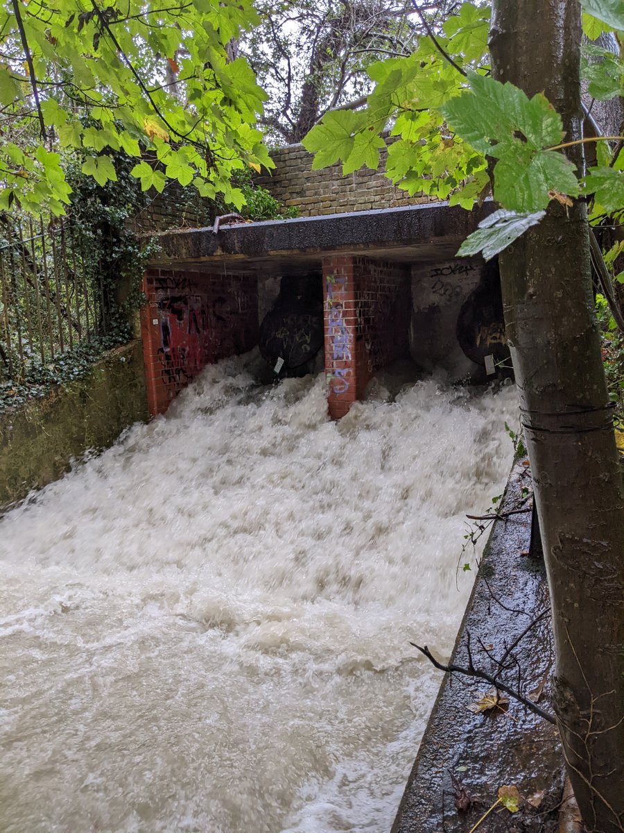 There could be more than 100 sewer overflows operating in London with no permits.
Here's one in Brent Lodge Park, discharging to the River Brent in November.
Thames Water is failing to meet it's legal duties.
Send our formal complaint here: londonwaterkeeper.org.uk