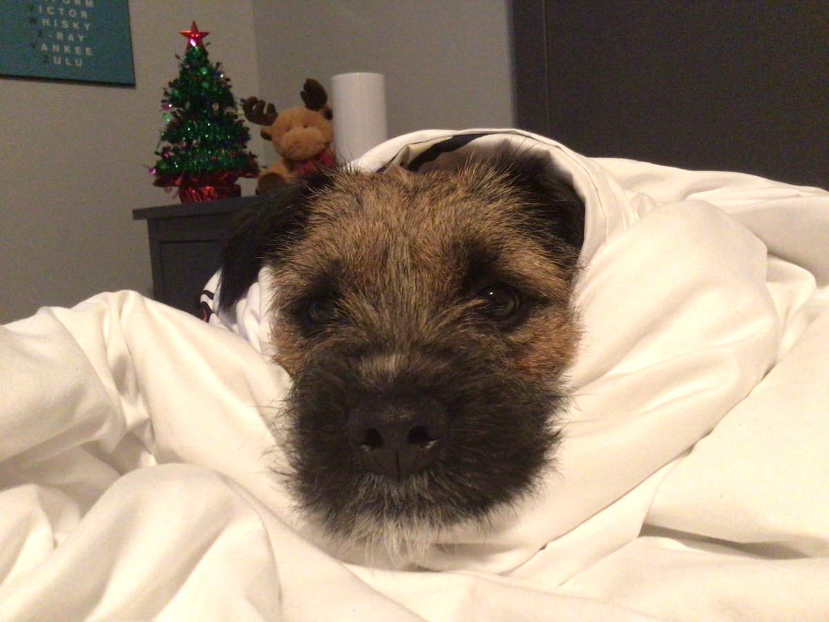 Photo of the week #BTPosse