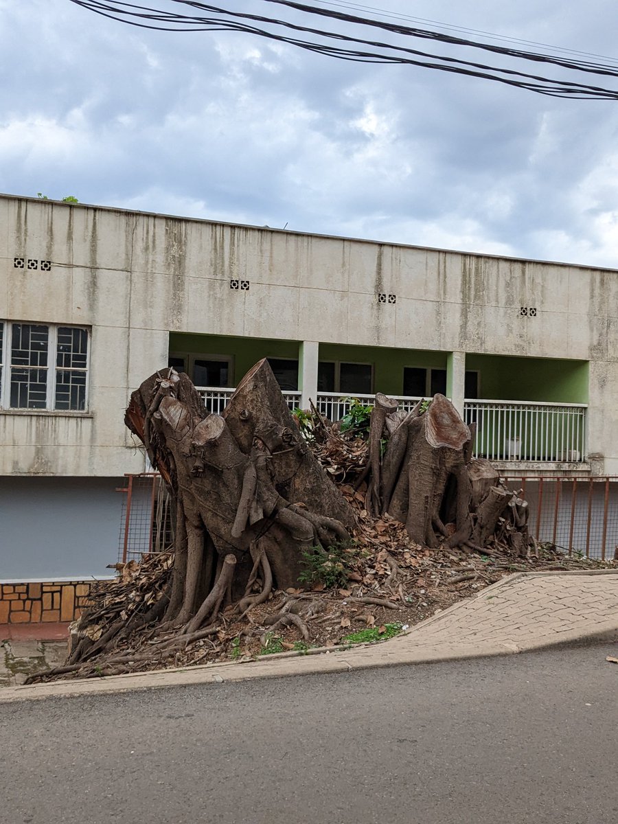 David Toovey tweet media