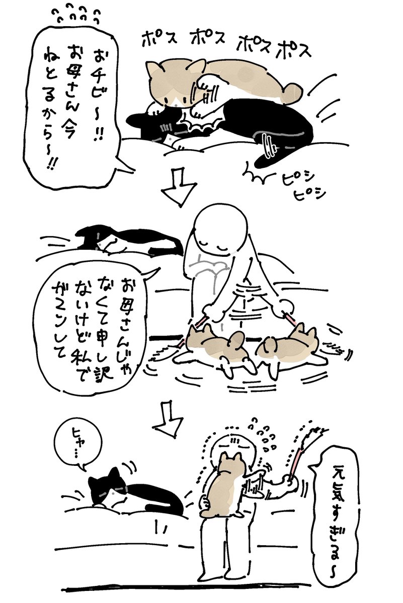 まめさんよりもおチビの写真やツイートが多いのはこういう理由ですの絵日記
#ろんの絵日記 (ろんさんいないし土曜日でもないけど番外編) 