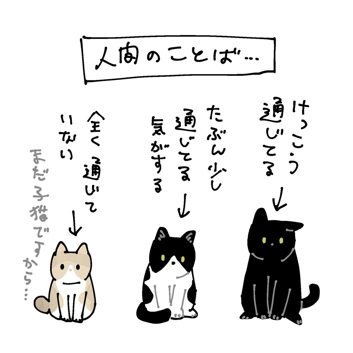 まめさんよりもおチビの写真やツイートが多いのはこういう理由ですの絵日記
#ろんの絵日記 (ろんさんいないし土曜日でもないけど番外編) 