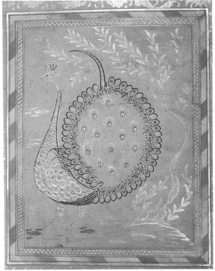 17. yüzyıl,
Divani hat yazısından oluşan tavuskuşu,