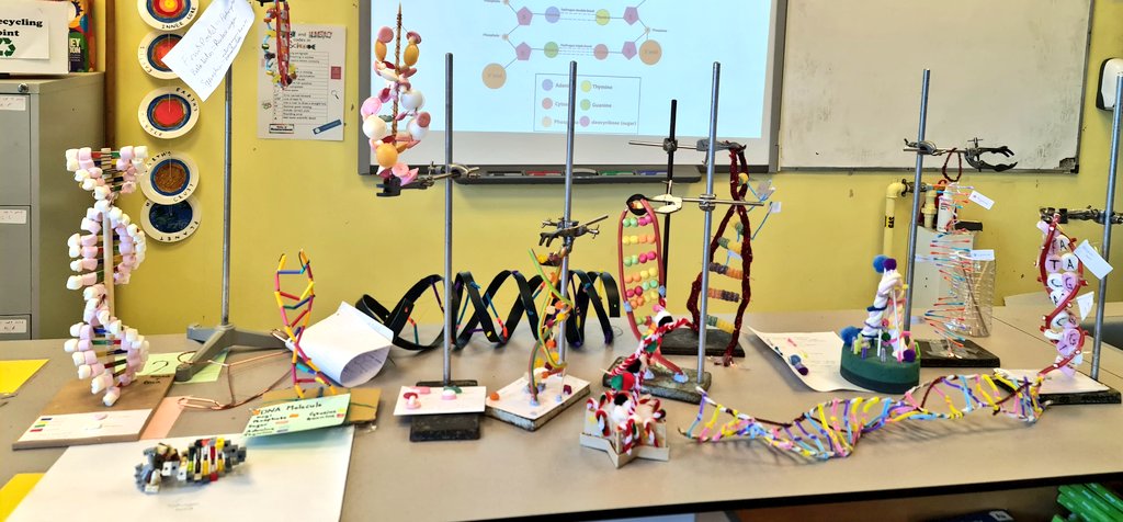 Sci_Christleton's tweet photo. An excellent effort from our creative year 12 biologists as part of their nucleotides topic! 🧬🧬 https://t.co/SppBv0O0Qp