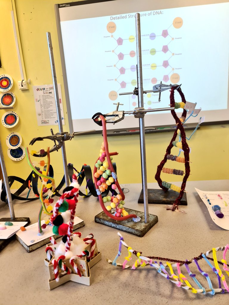Sci_Christleton's tweet photo. An excellent effort from our creative year 12 biologists as part of their nucleotides topic! 🧬🧬 https://t.co/SppBv0O0Qp