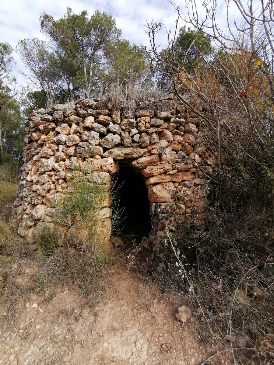 C. Bou.f tweet media