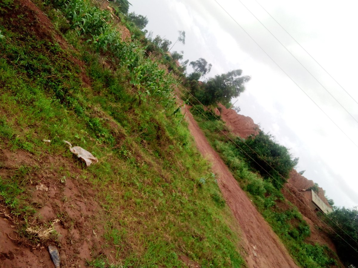BillyAsemboh's tweet photo. @KenyaPower_Care The two wires lying too low blocking the way.
No electricity for almost a week now. No show of commitment
0707445535 https://t.co/HlUmgondM1