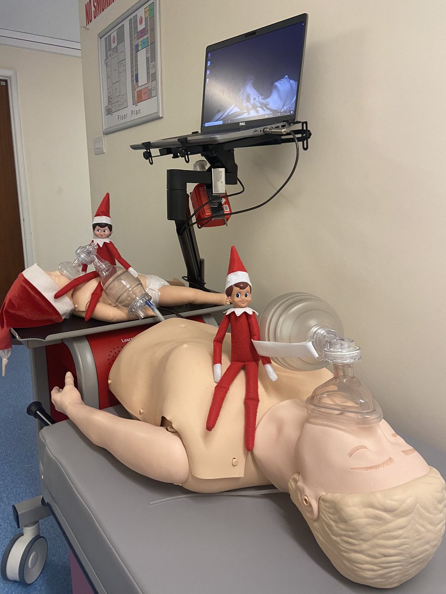 Twas the night after EPALS &amp; all through the centre, 
Not a creature was stirring, not even a mentor.
When on the RQI station there arose such a clatter. 
I sprung from the office to see what was the matter.
When what should appear, but elves larking about, oh dear!