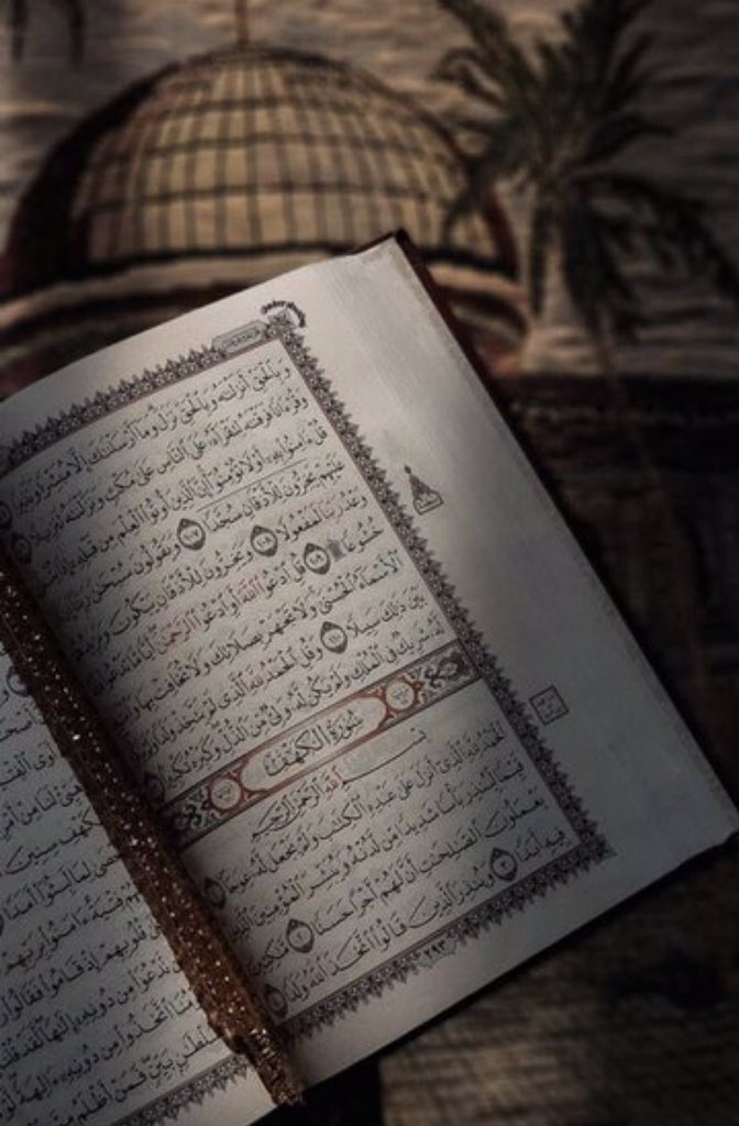 ﴿من قرأ سورة الكهف في يومِ الجمعة أضاء له من النور ما بين الجمعتينّ ﴾.
انيروا جمعتكم بـ سوره الكهف ❤️.

upload.wikimedia.org/wikipedia/comm…

#يوم_الجمعة 
#سورة_الكهف 
#فخـامه_امـGpــير_لـلـدعـم 
 #فخامة_امــGpــير_لـلـتبادل