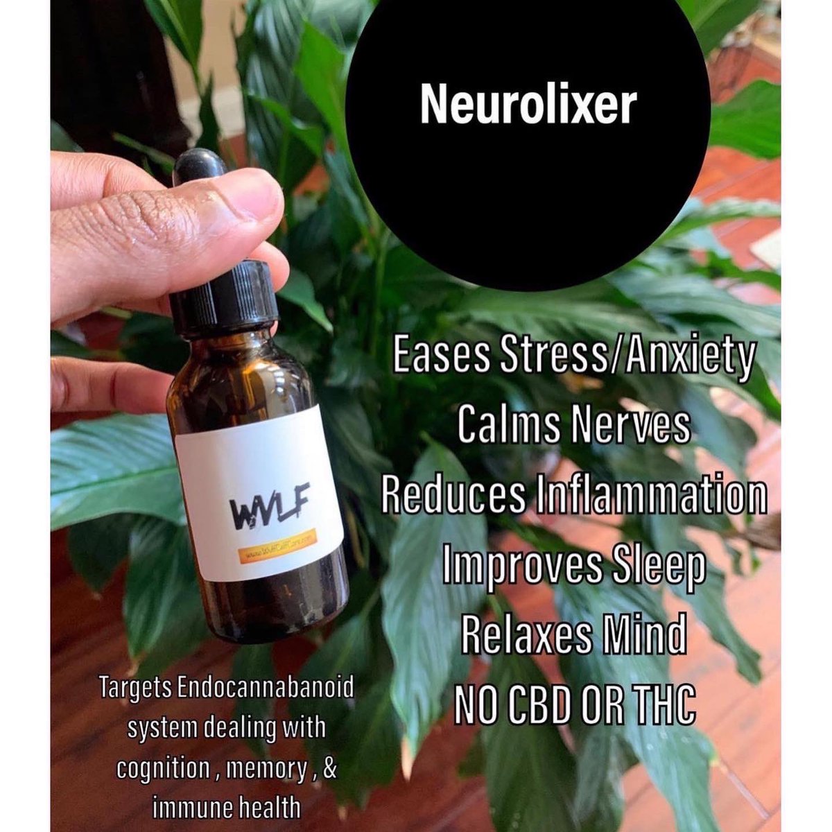 WVLFcc's tweet photo. Come get some of our Mag Oil for your hair &amp; our neurolixer for relaxation !!

https://t.co/jn9MFiGEiX 

#OurShitWorks 😄😉 https://t.co/HcRhWobfQY
