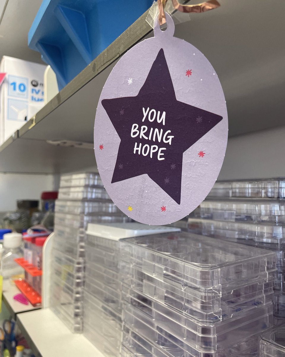 Alexa Little tweet media