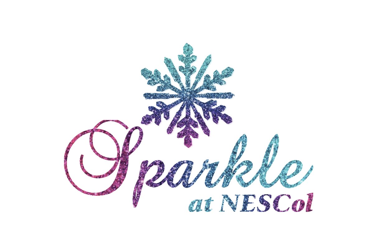 We’re counting down to Monday’s launch of the Sparkle Winter Festival at NESCol – bringing students, staff and the whole College community together for a packed programme of celebration and fundraising activities to support causes across the region.