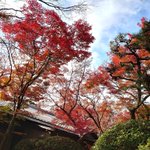 ツイートに含まれる画像