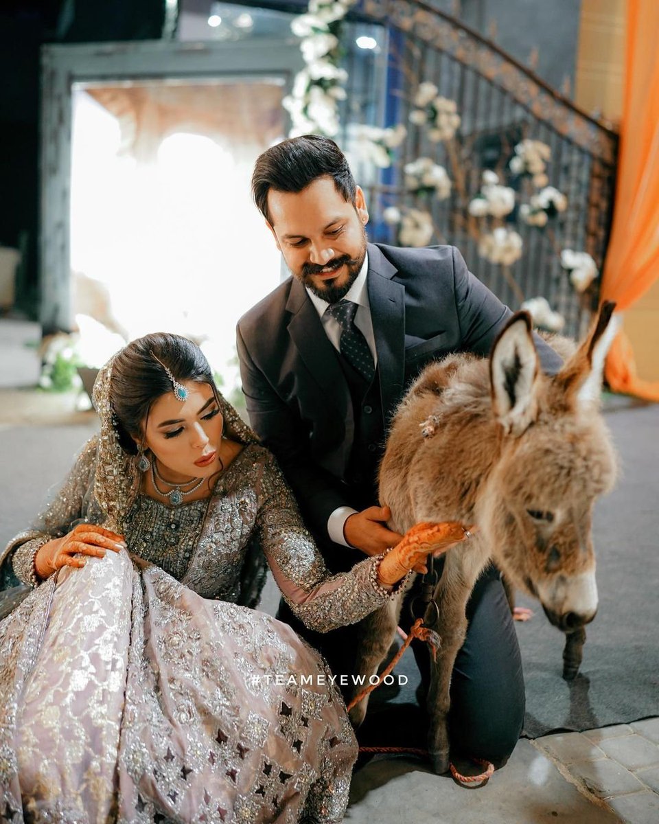 SagarSuhindro's tweet photo. #Content #Creator #azlanshah won the hearts of fans by #wedding gift to his #wife, fellow #Influencer  #WarishaJavedKhan a baby #donkey . https://t.co/TQzHC2JdUC