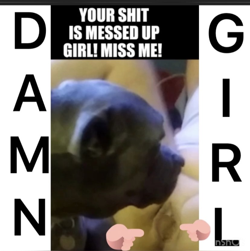 K9DoGFucKeR's tweet photo. #Sacramento #DOGFUCKER #DoGRaPeR with that #SLURPYDOGPUSSY MISS JILLIÀN LEANN QUIST JONES THE #1 #DoGGYSLUT and  #iFunnyFanatics
Favorite #DoGDicKLOVER #BesTiaLitYBiTcH
as Jilliàn LeAnn Quist Jones is in a constant state of #MassiveDoGGYHEAT  for #K9PLAY Y https://t.co/avz6V8HZR6