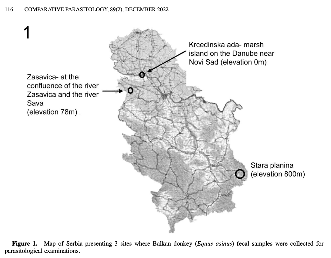 New in Comparative Parasitology! 

Prevalence of Endoparasites in the Balkan Donkey (Equus asinus) from Serbia

By Bojana Mijatović, Ivan Pavlović, Slavica Živković, Ivana Trailović, Jelena Ćirić, &amp; Dragiša Trailović.

doi.org/10.1654/COPA-D…