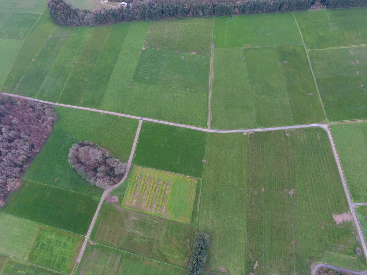 Prof Dr Owen Fenton tweet media