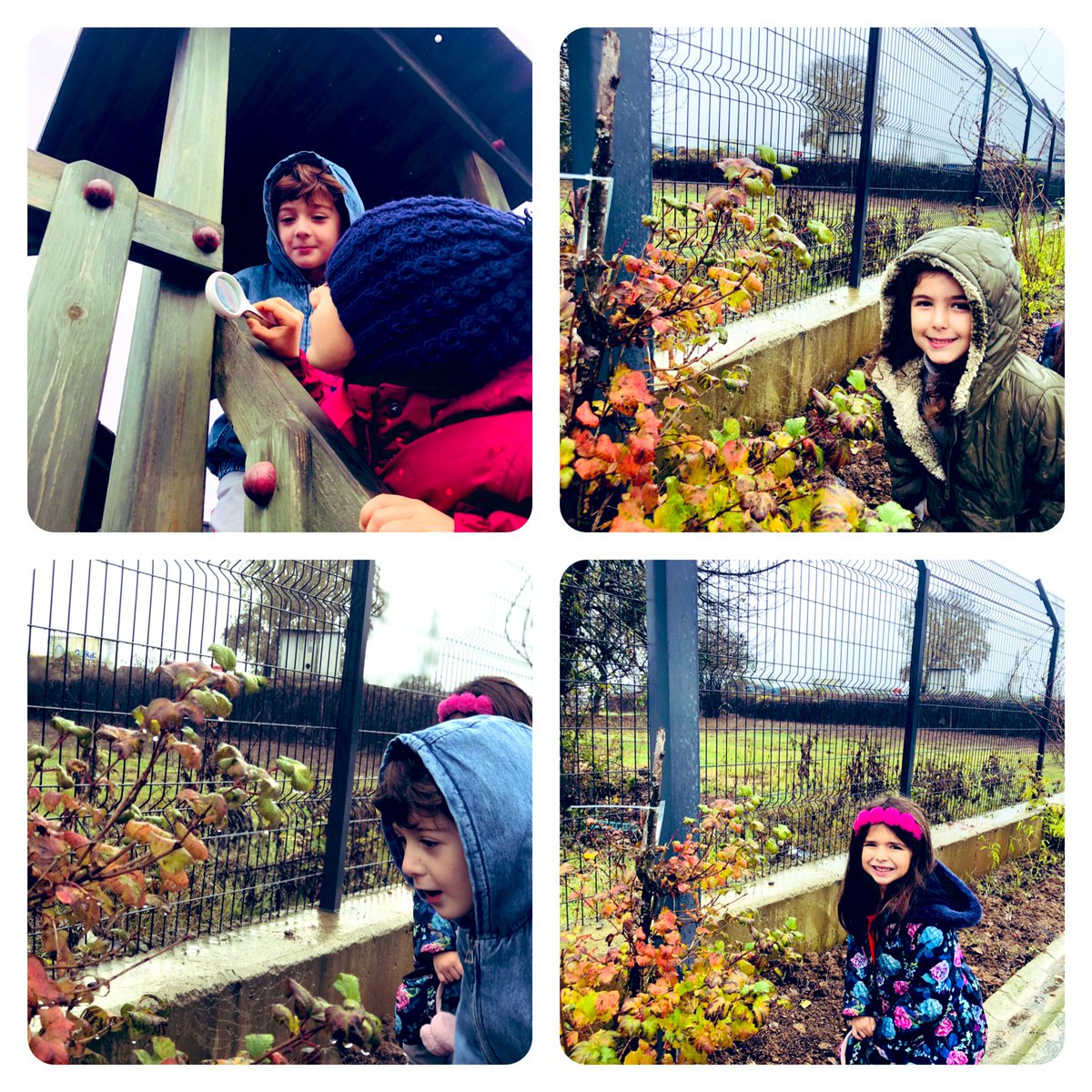 aysebilgin37's tweet photo. Master Kids *“Çevremde Sanat”* Örümcek ağının rengi, kokusu var mıdır? Büyüteçlerimiz 🔎 ile bahçemizdeki örümcek🕷 ağlarının 🕸kusursuz tasarımlarını inceledik.#heranımdabahcesehir #bahcesehirkoleji #masterkids @mturanoznacar @tugbaozdinc @svmbyrktr @BkOmerli https://t.co/zJYdsMe3o1