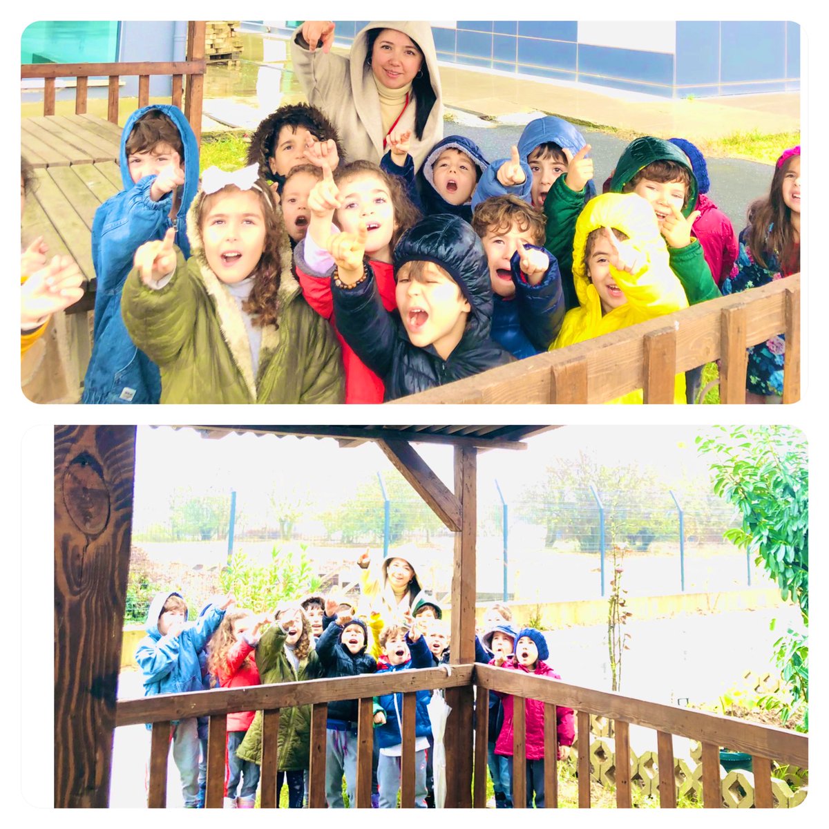 aysebilgin37's tweet photo. Master Kids *“Çevremde Sanat”* Örümcek ağının rengi, kokusu var mıdır? Büyüteçlerimiz 🔎 ile bahçemizdeki örümcek🕷 ağlarının 🕸kusursuz tasarımlarını inceledik.#heranımdabahcesehir #bahcesehirkoleji #masterkids @mturanoznacar @tugbaozdinc @svmbyrktr @BkOmerli https://t.co/zJYdsMe3o1