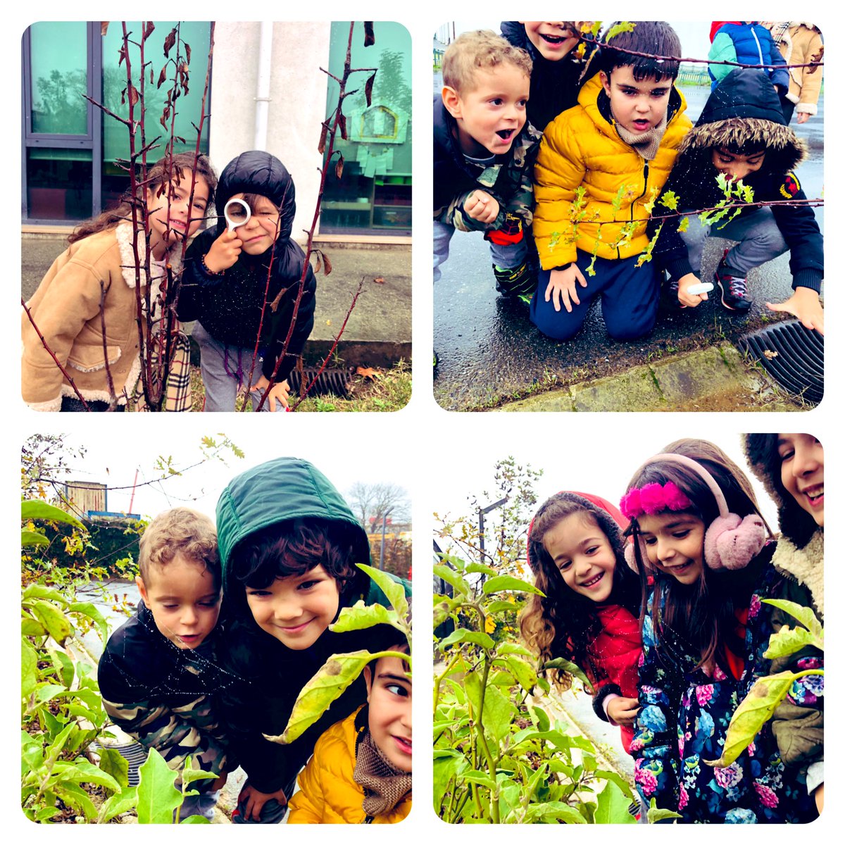 aysebilgin37's tweet photo. Master Kids *“Çevremde Sanat”* Örümcek ağının rengi, kokusu var mıdır? Büyüteçlerimiz 🔎 ile bahçemizdeki örümcek🕷 ağlarının 🕸kusursuz tasarımlarını inceledik.#heranımdabahcesehir #bahcesehirkoleji #masterkids @mturanoznacar @tugbaozdinc @svmbyrktr @BkOmerli https://t.co/zJYdsMe3o1