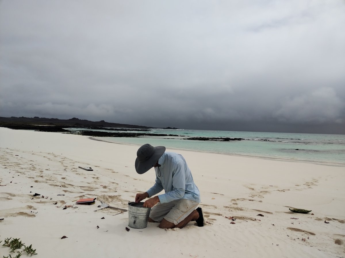 bioplasticlab's tweet photo. En el marco del proyecto ‘Ciencia ciudadana y capacitación científica para luchar contra la contaminación de basuras marinas en las Islas Galápagos’ hemos viajado hasta Galápagos para evaluar la contaminación por plásticos de sus costas, y fomentar la ciencia ciudadana. https://t.co/6cMV6helVy