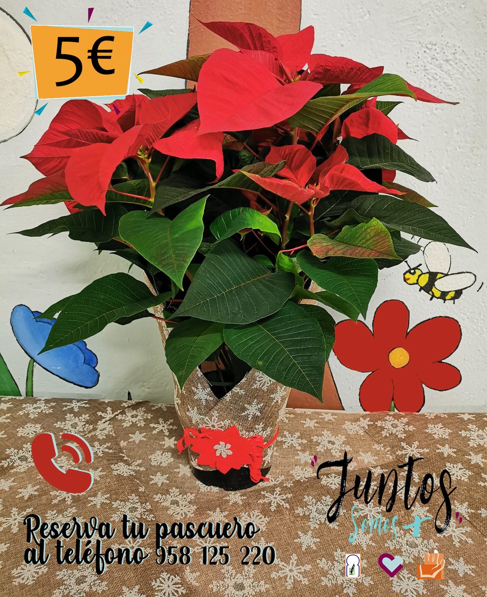 HospitalariasGr's tweet photo. ¿Aún no tienes tu #pascuero? ¡¡Aún estás a tiempo!! Colabora en el empleo de las personas con #discapacidad Reserva al teléfono: 958 12 52 20 https://t.co/QaxxFE2Ifw