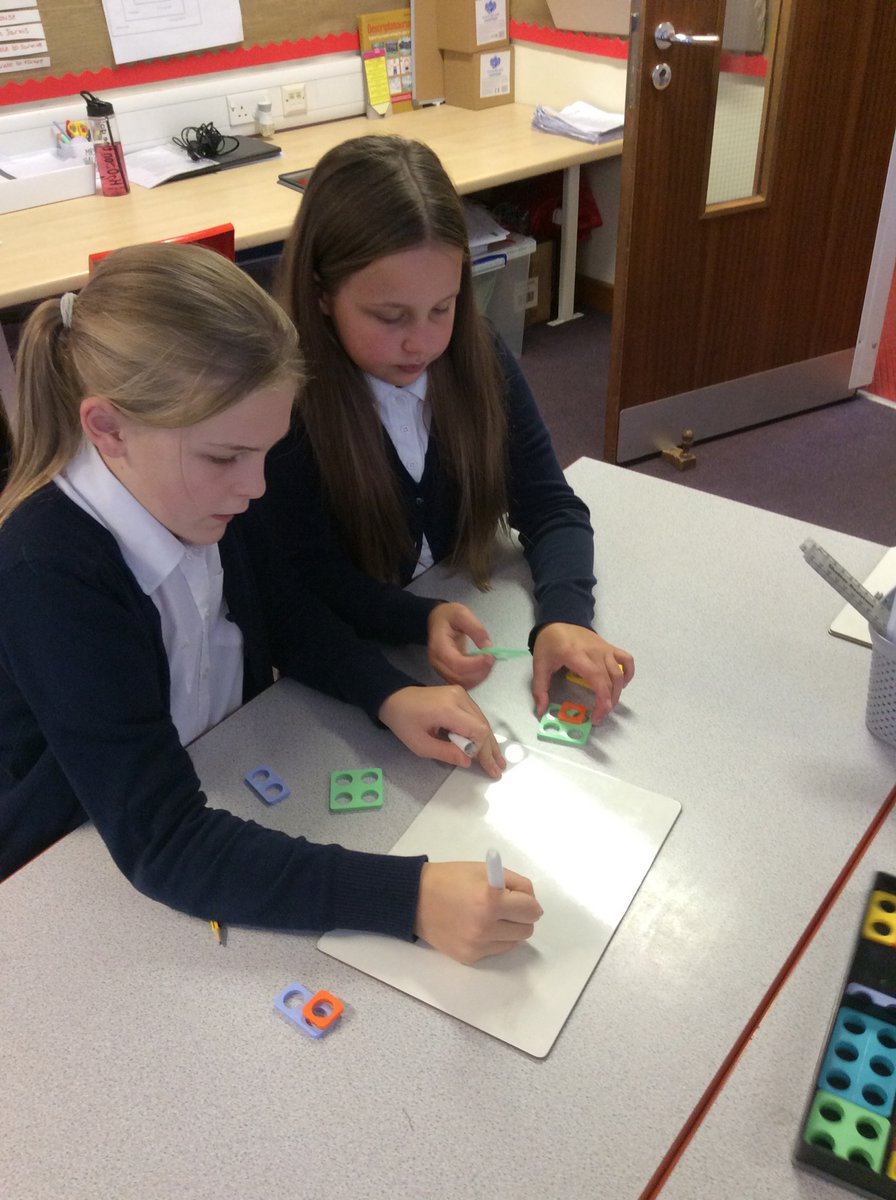 Newton Primary tweet media