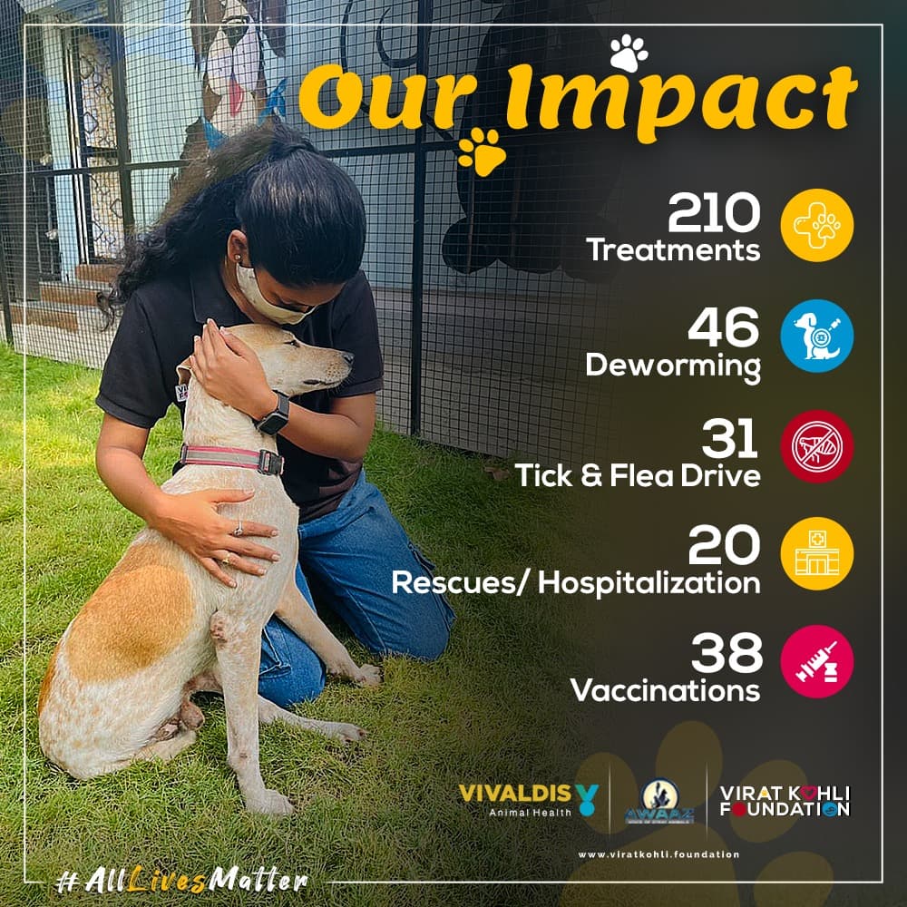 sevvafoundation's tweet photo. Our #Pawprint 🐾 for the month of November 

#VKF #VKF4Change #Vivaldis #BarkOutLoud 
#AnimalWelfare https://t.co/gIgAt4sdno