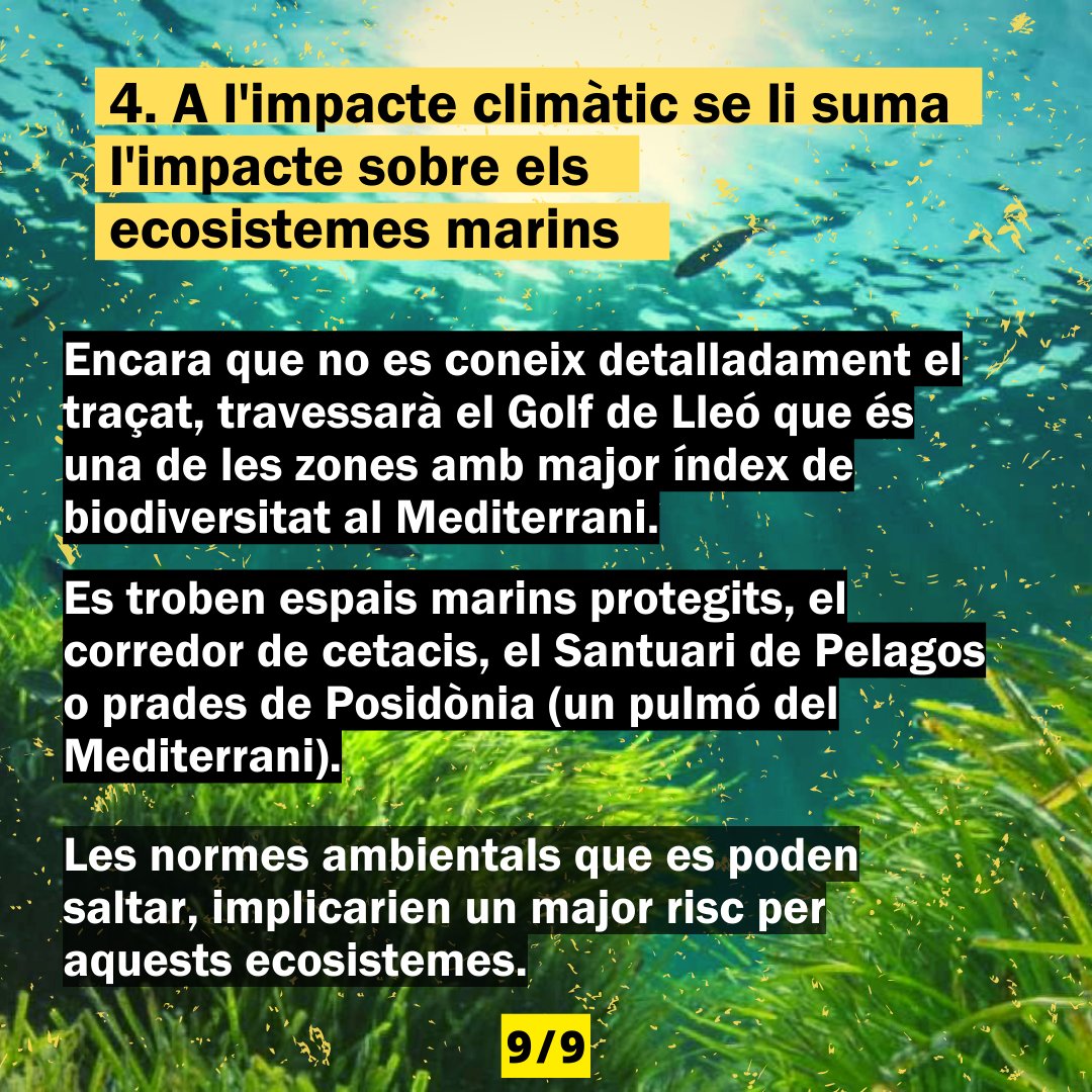 twitt_odg's tweet photo. 6⃣ Tota aquesta flexibilització de les mesures ambientals poden fer que el risc de dany als ecosistemes marins i costaners sigui molt més gran.
Per aquestes raons, uneix-te al debat a les xarxes socials 📲 amb #H2Med, #BarMar, #StopH2Med i #StopBarMar. https://t.co/LPPSxGKgUv