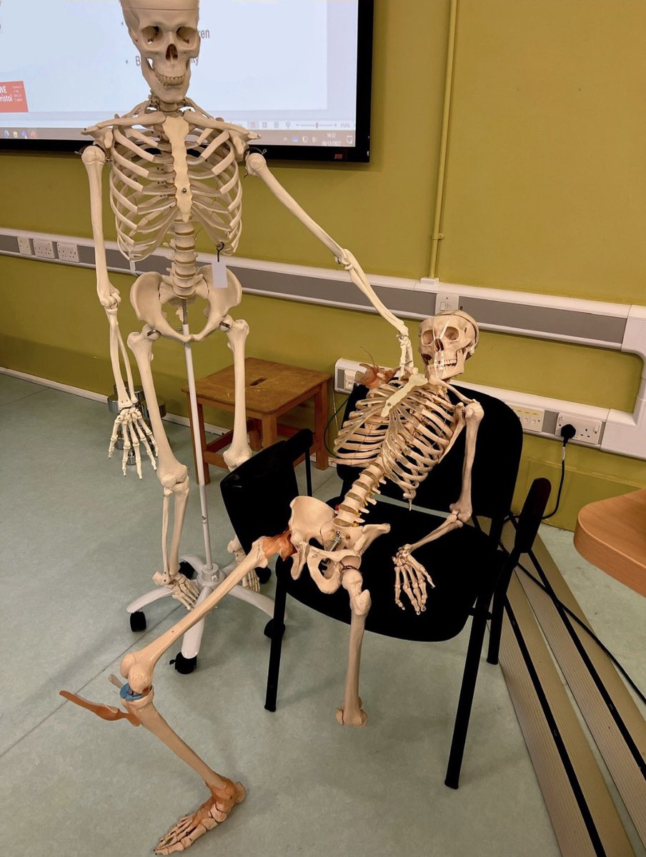 A visual representation of every academic at the beginning vs end of semester