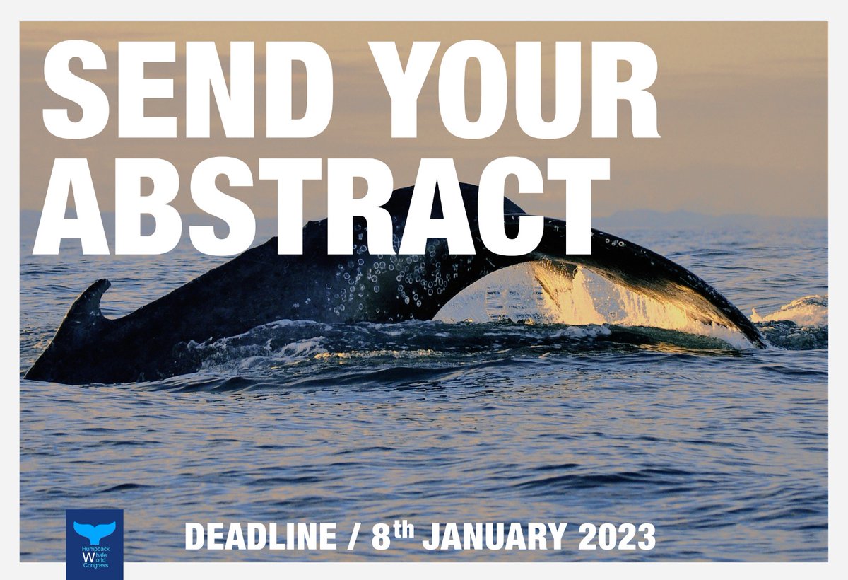 Cétamada tweet media