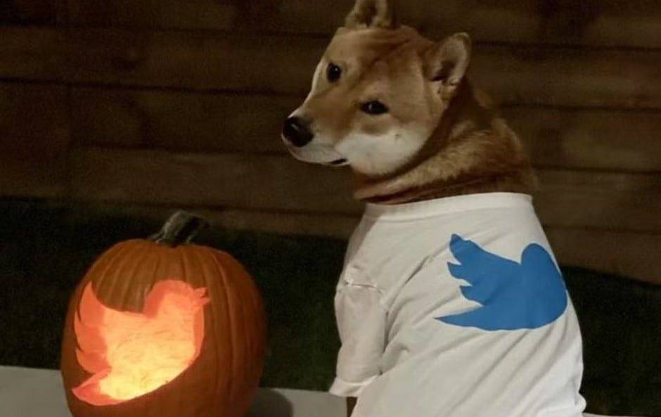 RealFlokiSanta's tweet image. 没有有意义的用例的 BSC Meme 代币时代正在迅速过去.

🔥 Meme 代币的乐趣当然不能被剥夺
🔥根据 Floki Santa 路线图，它不仅仅是一个 Meme 代币。 而是一个带有一些 Utility 产品的 Token. 这些产品将极大地促进代币不断增长的价格价值，因为越来越多的人总是会购买代币以便能够访问 Floki Santa 产品