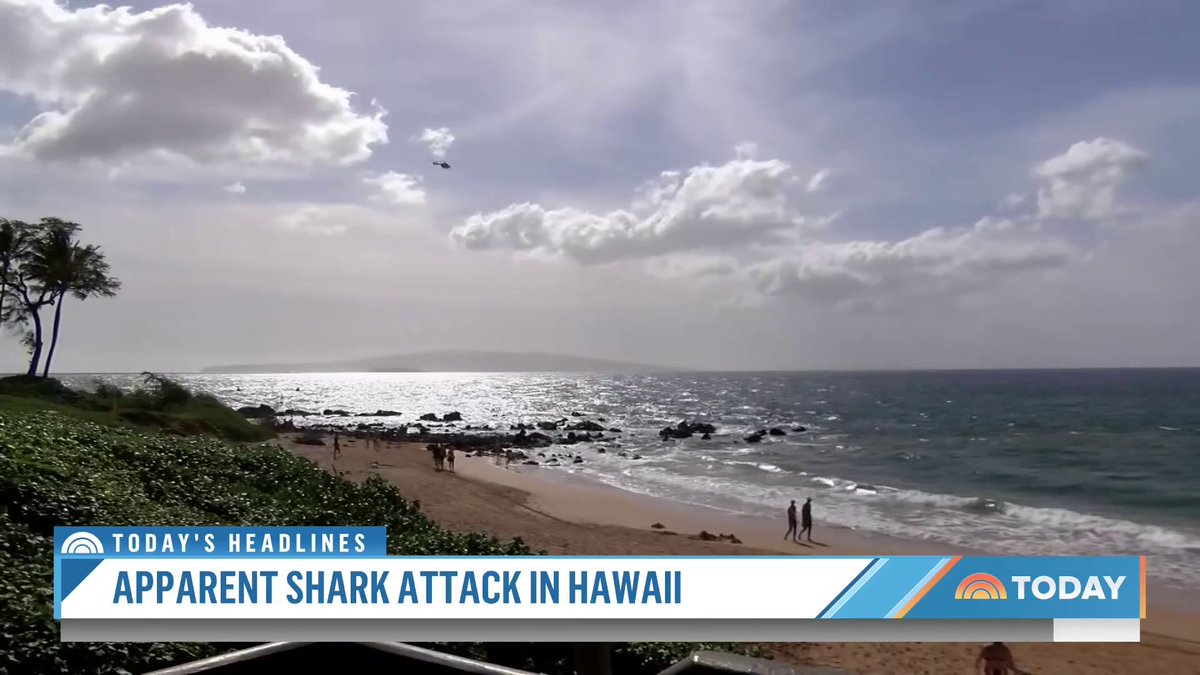 The search will resume this morning for a woman who was apparently