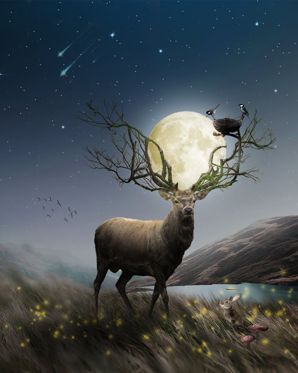 LIVE AUCTION ■  <a href="/foundation/">Foundation 🌐</a>

"Under the Silvermoon" received the offer from 
<a href="/ethdotco/">Eth.co</a>  ♥️🫂♥️🫂

He was a being embodied in "the very poetry of nature." His wild and exuberant imagination, but the sensibility of his heart, was decent.

link 👇🏻