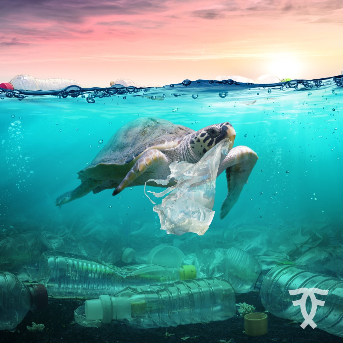 planktontech's tweet photo. Okyanuslarımızdaki #plastik miktarı katlanarak artıyor! Son on yılda, plastik kirliliğinde altı kat artış oldu. Küçük planktonlardan büyük balinalara kadar #deniz yaşamı üzerinde büyük bir etkiye sahip ve bizlerin de besin zincirine girmiş durumda.

#iklimkrizi #plastikkirliliği https://t.co/fgYhYi9VXr