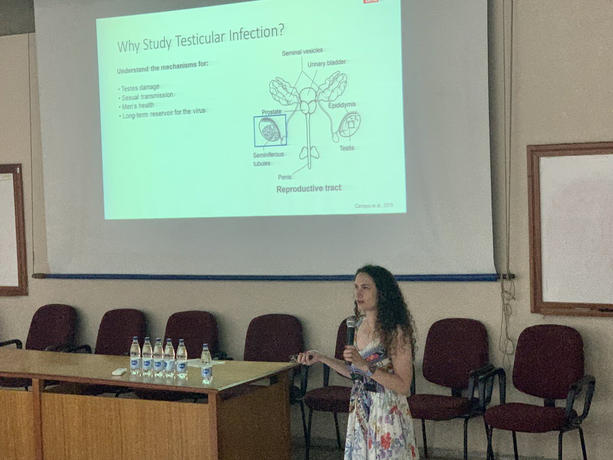 Nikos Vasilakis (@vasilakis_lab) on Twitter photo Great talks at From Sars-Cov to Dengue:
“What happened during the pandemic” meeting by Drs Moody <a href="/tmoodyscience/">tonymoodyscience</a> Rossi <a href="/Rossi_viruslab/">Dr. Shannan_Rossi</a> Drummond <a href="/drumond_betania/">Betania Drumond</a> Luchs (not on tweeter) <a href="/CREID_Network/">NIAID-CREID</a> <a href="/Virology_FAMERP/">Mauricio Nogueira’s lab @Famerp</a> <a href="/Vasilakis_Lab/">Nikos Vasilakis</a> <a href="/ihii_utmb/">Institute for Human Infections & Immunity (IHII)</a> Great talks at From Sars-Cov to Dengue:
“What happened during the pandemic” meeting by Drs Moody <a href="/tmoodyscience/">tonymoodyscience</a> Rossi <a href="/Rossi_viruslab/">Dr. Shannan_Rossi</a> Drummond <a href="/drumond_betania/">Betania Drumond</a> Luchs (not on tweeter) <a href="/CREID_Network/">NIAID-CREID</a> <a href="/Virology_FAMERP/">Mauricio Nogueira’s lab @Famerp</a> <a href="/Vasilakis_Lab/">Nikos Vasilakis</a> <a href="/ihii_utmb/">Institute for Human Infections & Immunity (IHII)</a>