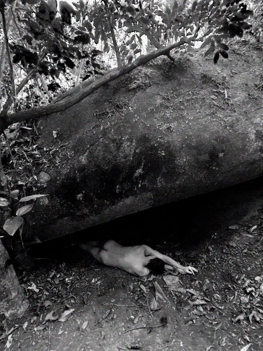 silviahmariah's tweet photo. "Passado" series 🌿🌿🌿
2.5 #XTZ 
⬇️🔗

#cleannft #nftphotography #monochrome #tezos https://t.co/Pu0UldJLbf