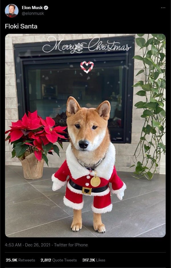 wallstreetcall's tweet image. 🔥@RealFlokiSanta 🔥

 What do we buy today?💎is definitely FLOKISANTA right?

😱there are Elonmusk and Cz tweeting in addition they are doing charity in countries,about to open presale HC 60bnb,find out to get the whitelist position before it's too late.

linktr.ee/flokisantaoffi…