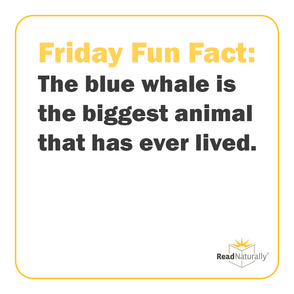 ReadNaturally's tweet photo. This fun fact is from Sequenced Level 1.5, Mammals of the Sea.
#whale #bluewhale #animal #animalfact #funfact #FridayFunFact #animals #animalfacts #developingreaders #learntoread #nonfiction #scienceofreading #readingintervention #readingresources #educationtechnology #edtech https://t.co/FYLc6VUI7b