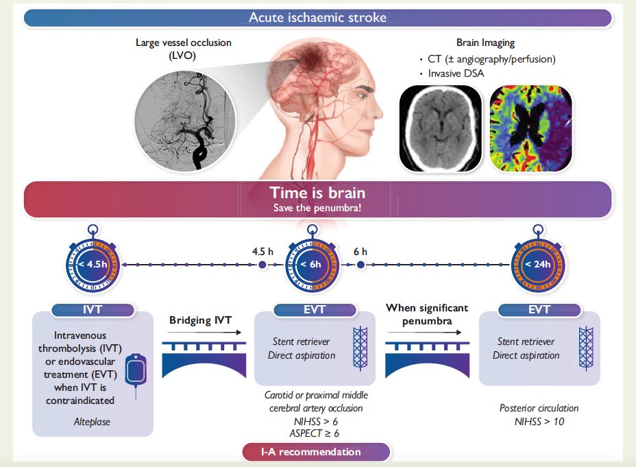 gonzaeperez's tweet photo. ⚠️Tiempo es cerebro en #stroke 🧠

Revisión - últimos avances en revascularización en etapa aguda del #stroke isquémico
-El tiempo es clave
-Equipo all in one (Angiografía y CT)
-Trombectomía x catéter (Gold standard) (no disponible en todos lados😔)

🆓https://t.co/vPNXJOUQaO https://t.co/o1oWUob0ji