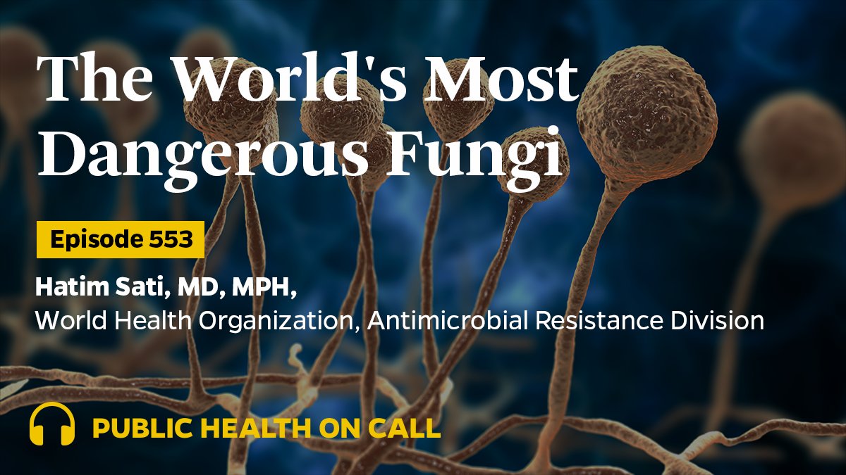 For the first time, the @WHO released a report of fungal “priority pathogens” that cause invasive disease and are becoming more prevalent and more resistant to treatment. @HatimSati talks with @SDesmon about why fungi pose such a threat to human health. johnshopkinssph.libsyn.com/553-the-worlds…