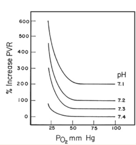 Effect of hypoxia and acidemia on pulmonary vasoconstriction. Source: ncbi.nlm.nih.gov/pmc/articles/P… #PH