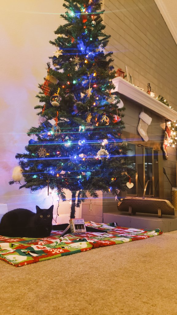 Steve Glazier tweet media