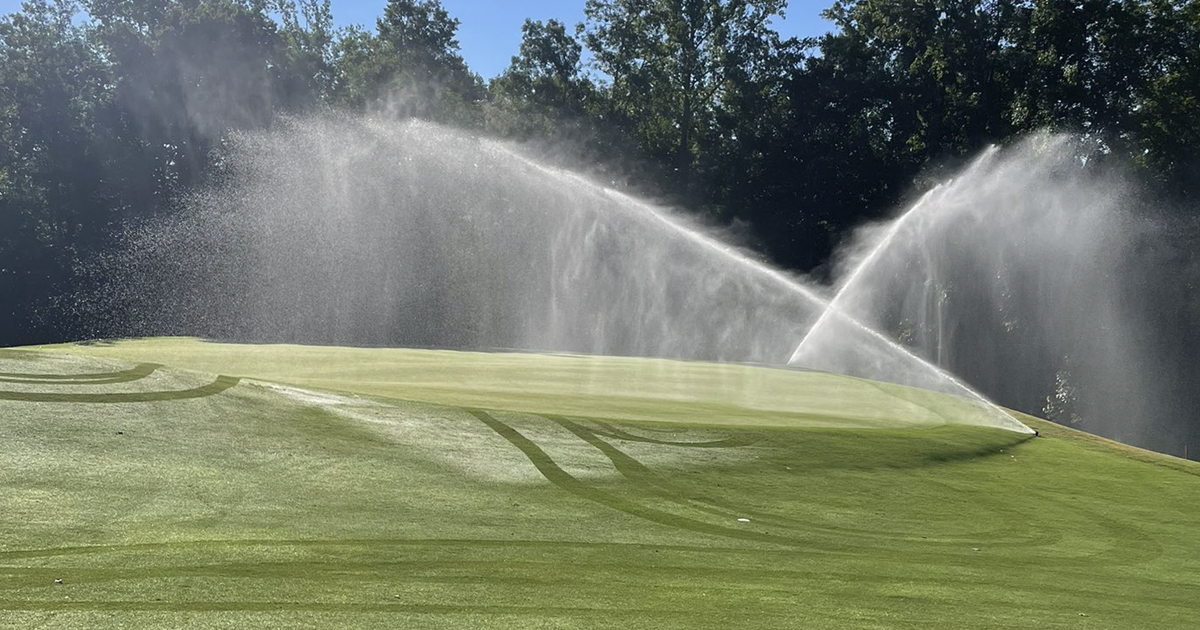 Dr. Raymond Snyder, Director of Agronomy says, “Coupling above and below-ground responses might help to provide increased awareness of the agronomic value of wetting agent applications.” <a href="/TurPhDudes/">turPh.Dudes</a> <a href="/virginia_tech/">Virginia Tech</a> 

harrells.com/Blog/Post/flee…

#Fleet #WettingAgents #Turfgrass