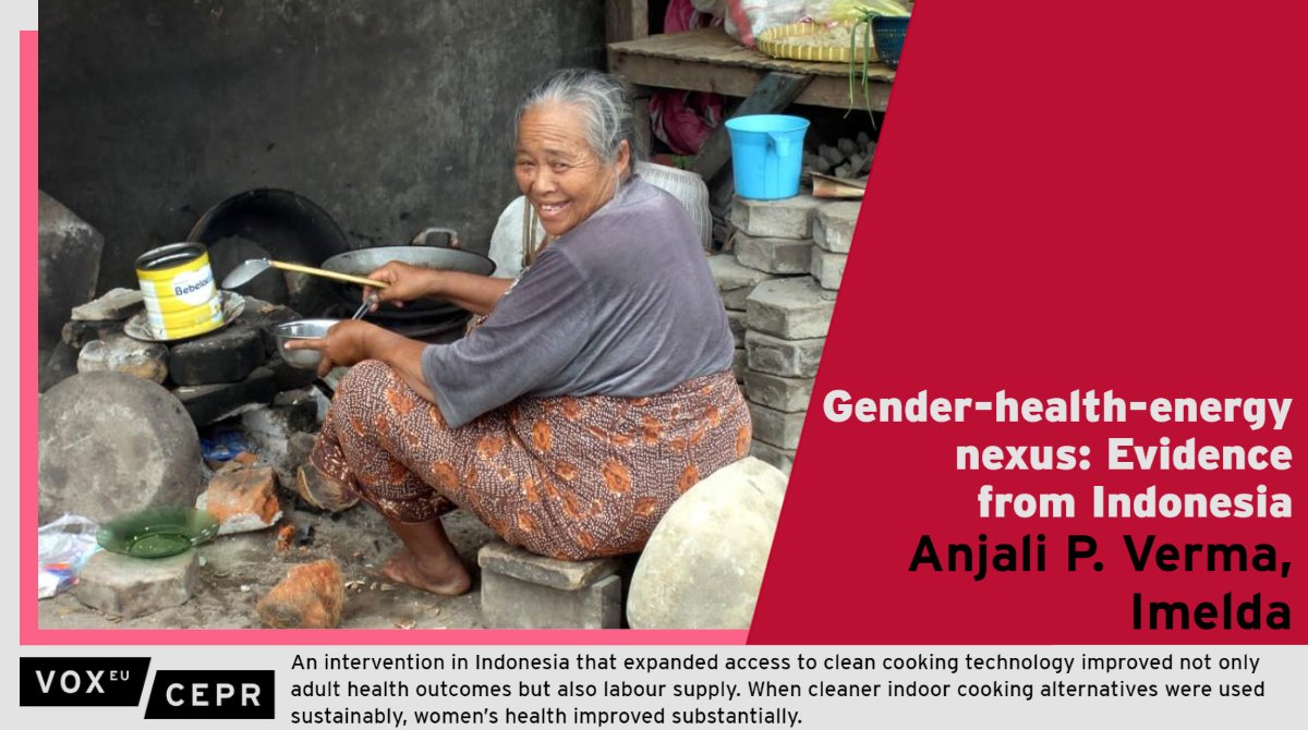 An intervention in #Indonesia that expanded access to clean cooking technology improved women’s health substantially. Labour hours also increased for both women &amp; men - a result driven by spillover effects.
<a href="/anjali_econ/">Anjali P. Verma</a> <a href="/amazon/">Amazon</a>, <a href="/imelda_econ/">Dr. Imelda</a> <a href="/GVAGrad/">Geneva Graduate Institute</a>
ow.ly/tACG50LZixI