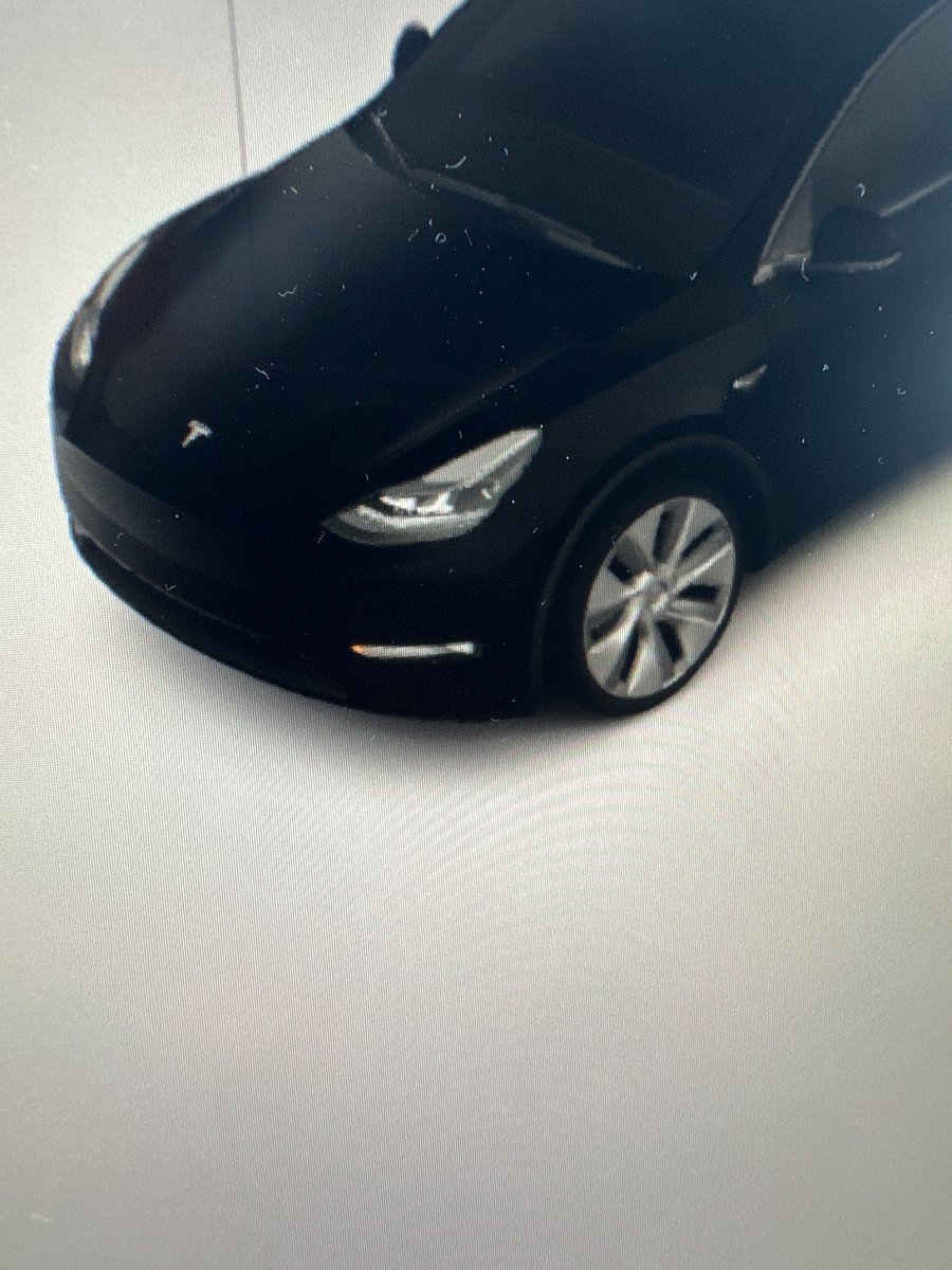 Conrad Juhl Andersen tweet media