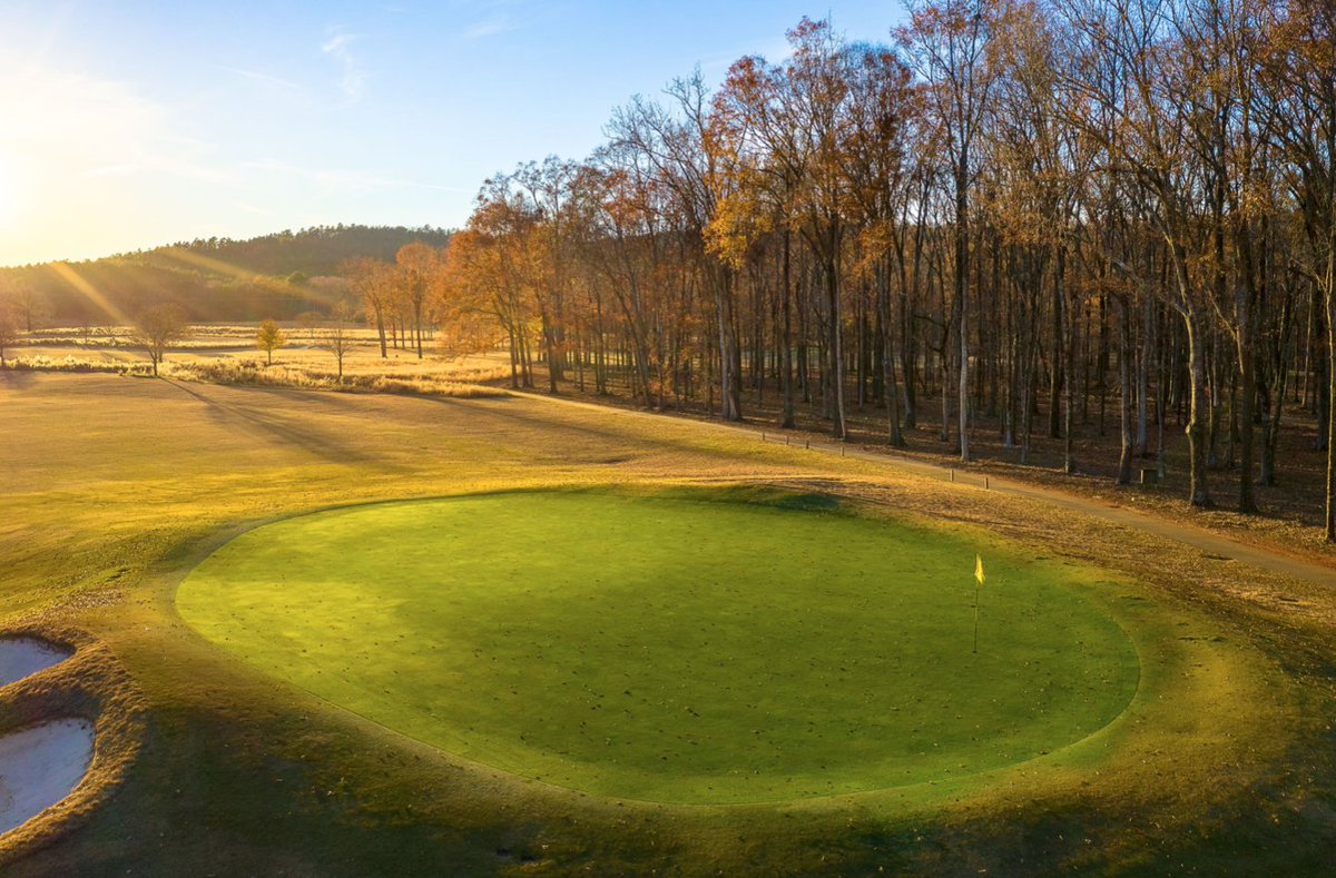 PursellFarms's tweet photo. There's always time for holiday #golf. Foursomes can play a round at #FarmLinks for special price of $300 in Dec. Includes 1 round for 4 players, 2 golf carts, unlimited driving range balls. Call 256-208-7640 for details, tee time; not available to book on line. @alabama_golf https://t.co/t9Tay9tWbO