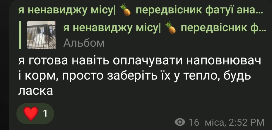 сліпа мавка | пані невдаха 🏳️‍🌈🇺🇦⊖ tweet media